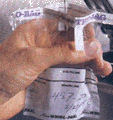 27-L߳U.gif (28085 bytes)